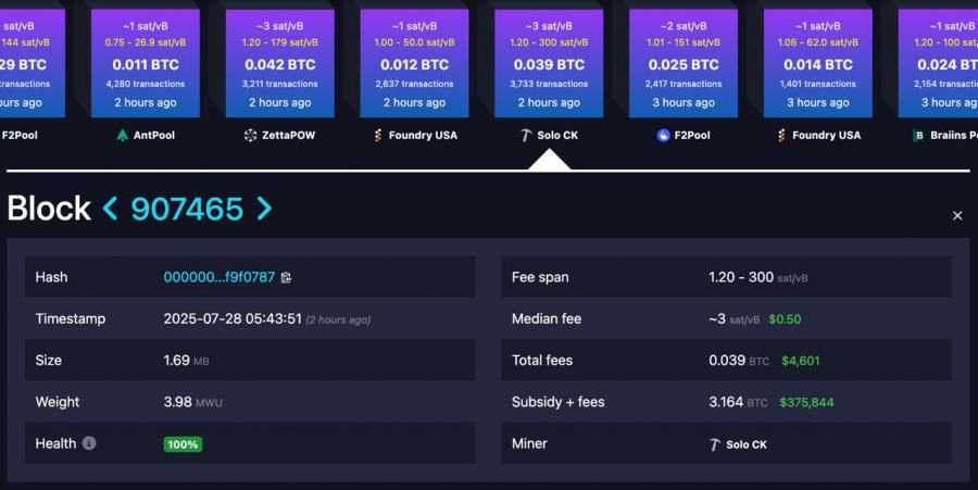 موفقیت بزرگ برای یک ماینر تنها!