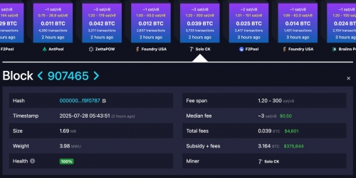 موفقیت بزرگ برای یک ماینر تنها!