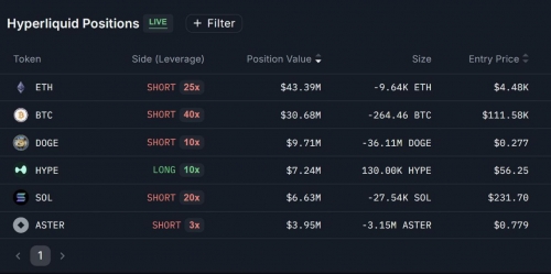 موقعیت بزرگ یک نهنگ در معاملات پرپچوال