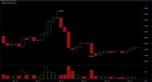 تثبیت قیمت بیت‌کوین در محدوده ۱۱۸ هزار دلار