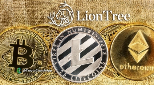 مشاور مالی وال استریت، LionTree گزینه های پرداخت با ارزديجيتال را بررسى مى كند.