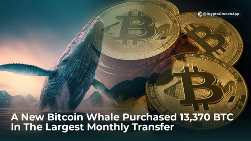یک نهنگ جدید بیت کوین 13370 بیت کوین را در بزرگترین انتقال ماهانه خود خریداری کرد!