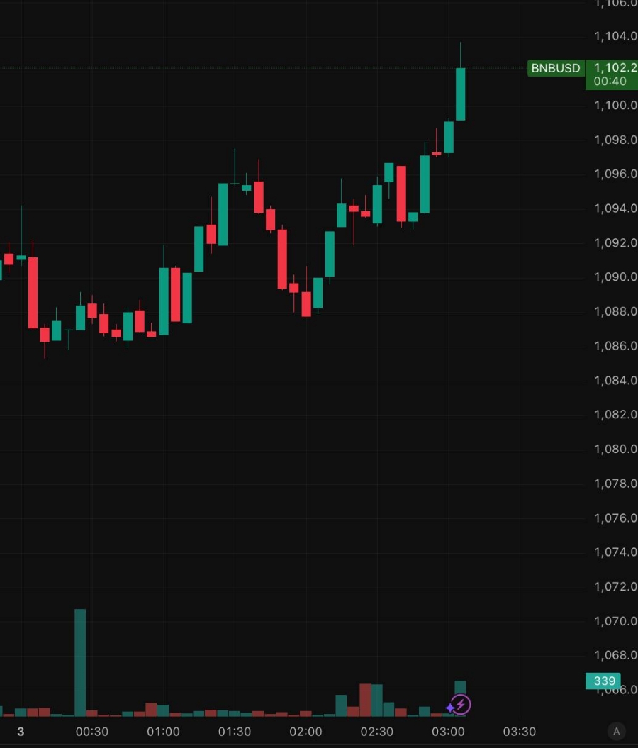 رکوردشکنی جدید بایننس کوین (BNB)
