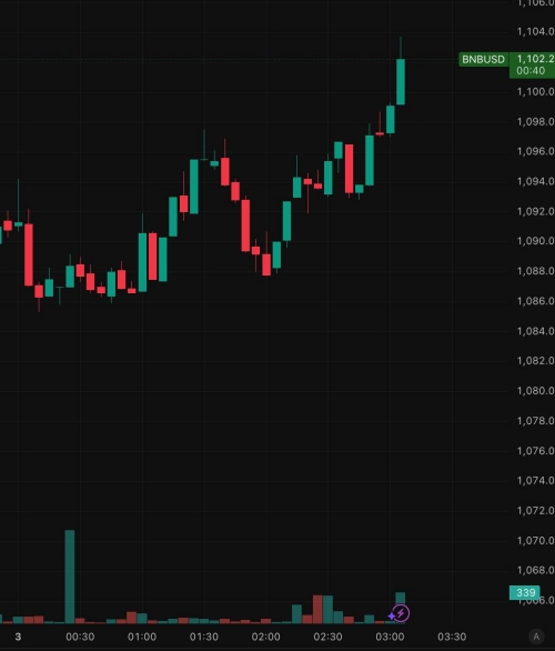 رکوردشکنی جدید بایننس کوین (BNB)