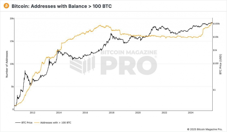 رکوردشکنی آدرس‌های بزرگ بیت‌کوین