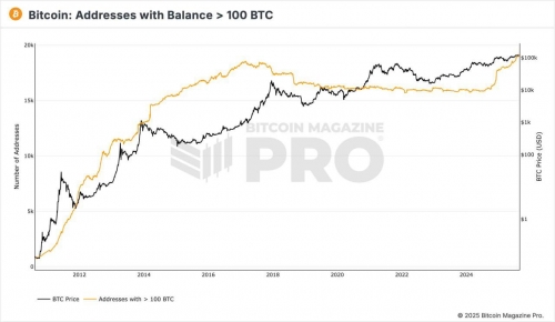 رکوردشکنی آدرس‌های بزرگ بیت‌کوین