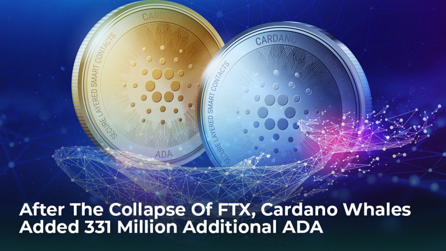 پس از فروپاشی صرافى FTX، نهنگ هاى كاردانو 33 میلیون ADA اضافه کردند. 