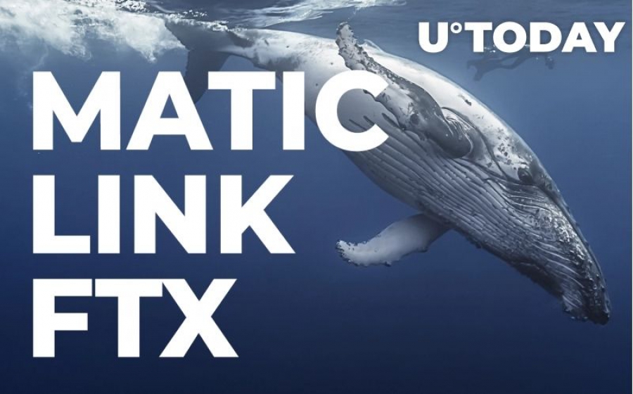 نهنگ های بزرگ اتریوم توکن های MATIC ،LINK و FTX را خریداری کردند.