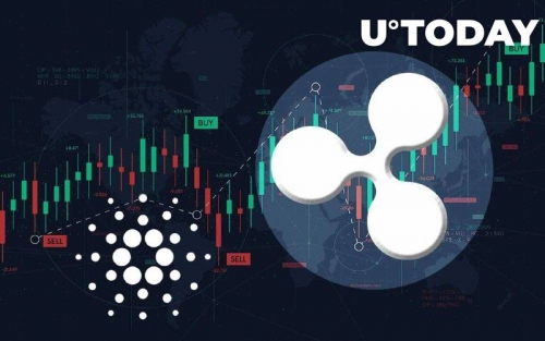 ریپل با پشت سر گذاشتن از  کاردانو به جایگاه ششم بازار ارزدیجیتال رسید!