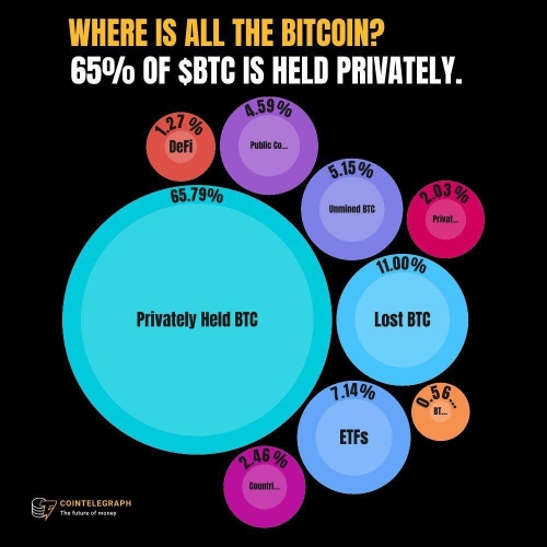 همه بیت کوین ها کجا هستند؟