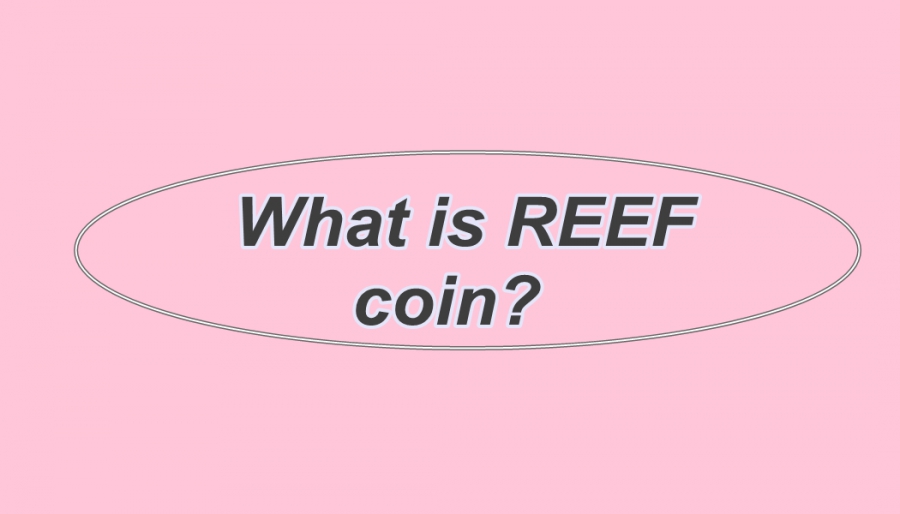 ریف REEF چیست؟