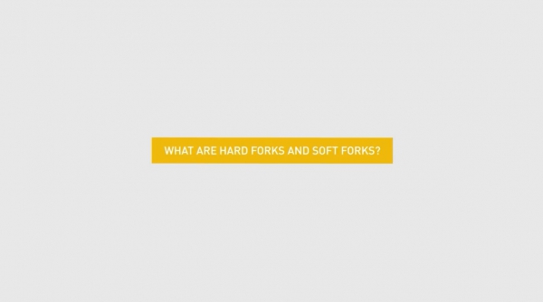 هاردفورک Hard Fork و سافت فورک Soft Fork به چه معنا هستند؟