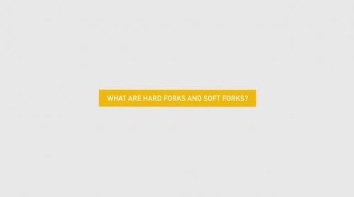 هاردفورک Hard Fork و سافت فورک Soft Fork به چه معنا هستند؟