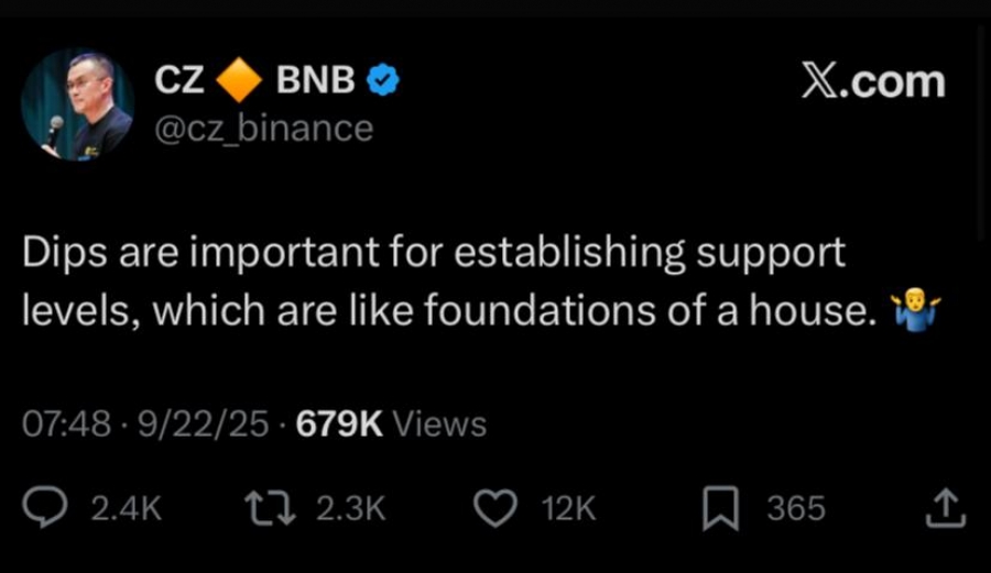 نظر مدیرعامل سابق بایننس درباره ریزش بازار