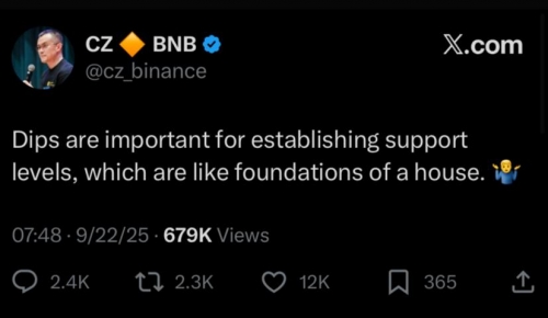 نظر مدیرعامل سابق بایننس درباره ریزش بازار