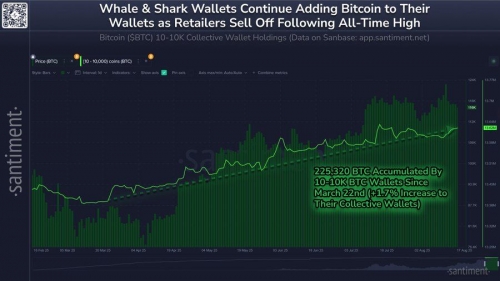 انباشت گسترده بیت‌کوین توسط نهنگ‌ها