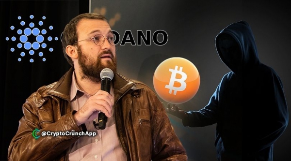 خالق كاردانو معتقد است که آدام بک می تواند Satoshi Nakamoto باشد.