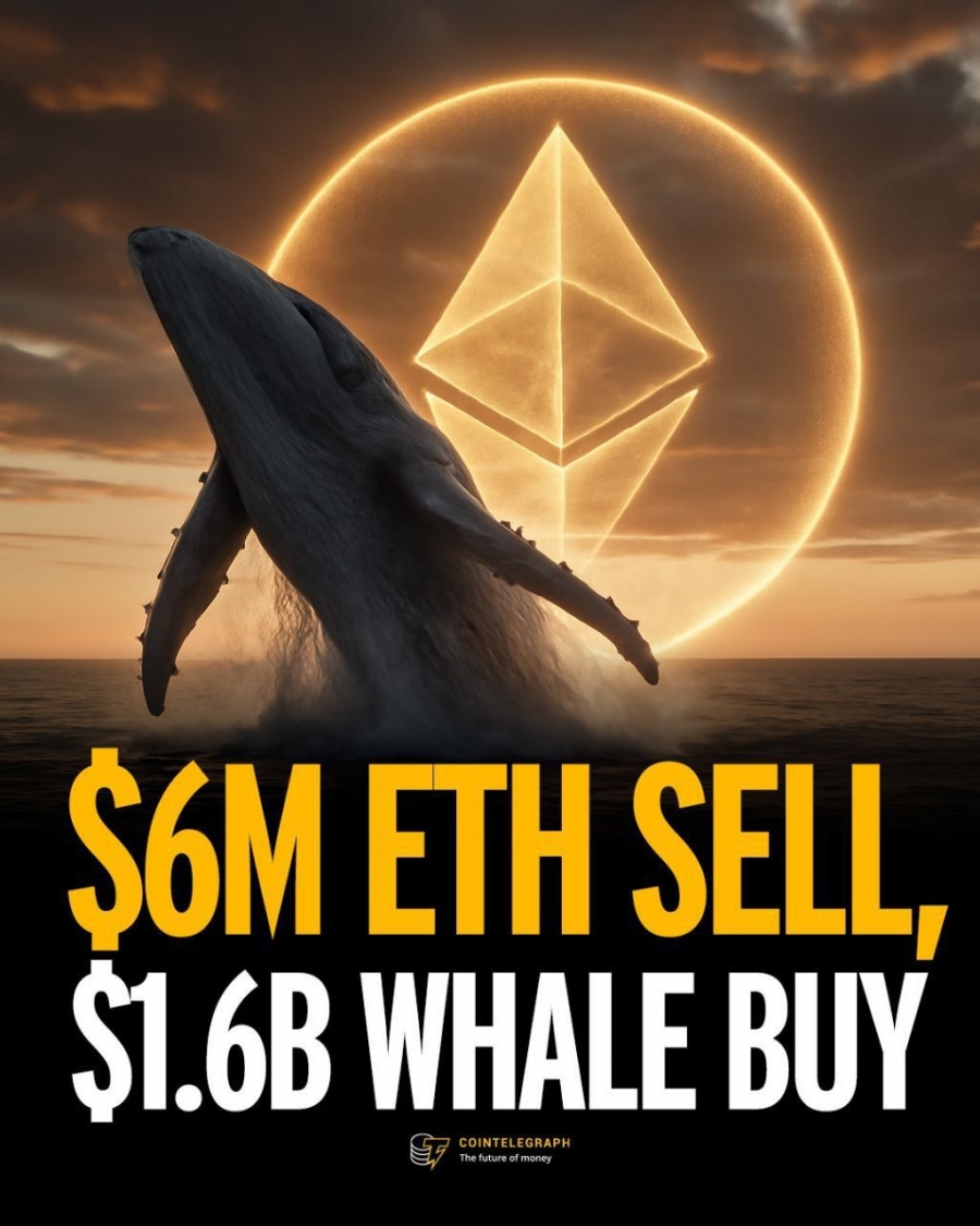 انتقال ۶ میلیون دلاری جفری ویلکه به کراکن؛ خرید ۱.۶ میلیارد دلاری نهنگ‌ها