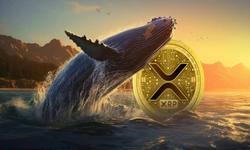 خروج نهنگ‌های ریپل از بازار