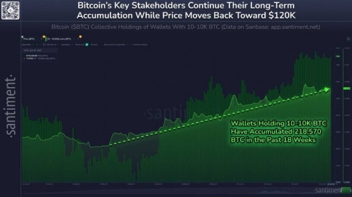 خرید سنگین نهنگ‌ها؛ ۱٪ از کل عرضه بیت‌کوین در ۴ ماه اخیر جمع‌آوری شد