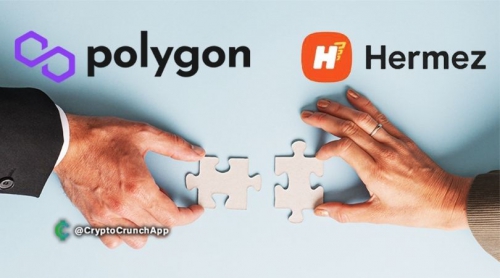 شرکت Polygon شبکه Hermez با ارزش 250 میلیون دلار توکن خریداری کرد!