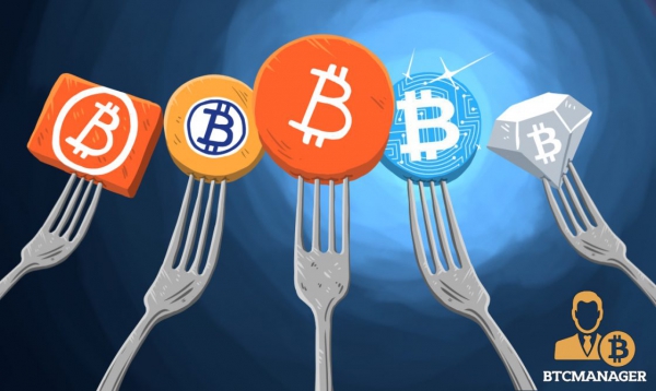 فورک Fork ارز دیجیتال چیست؟