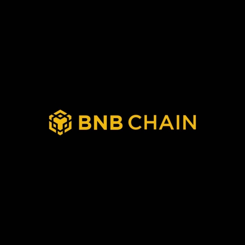 رشد چشمگیر استیبل‌کوین‌ها در BNB Chain