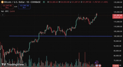 تداوم قدرت بیت‌کوین بالای ۱۰۰ هزار دلار