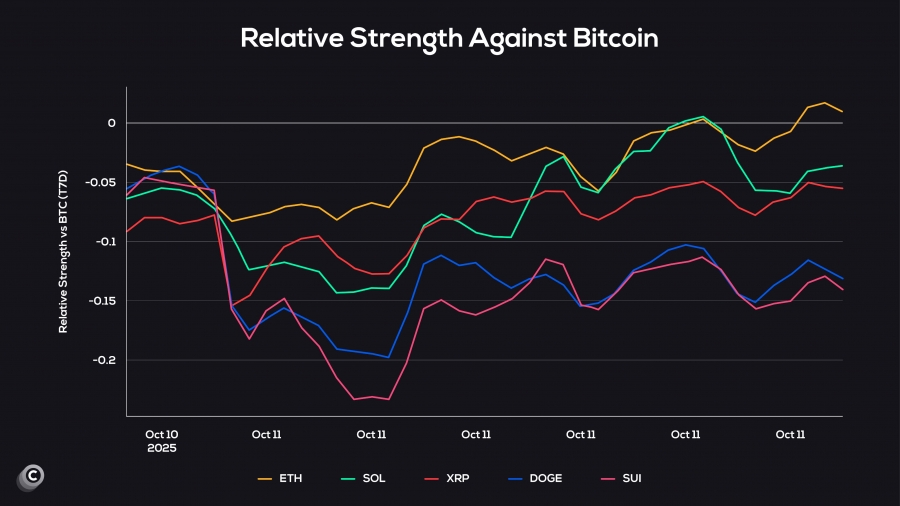 مقایسه عملکرد آلتکوینها در برابر بیتکوین در نیمه نخست اکتبر