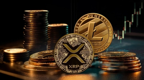 پاسخ مدیر فنی ریپل به انتقادات حامیان لایت‌کوین