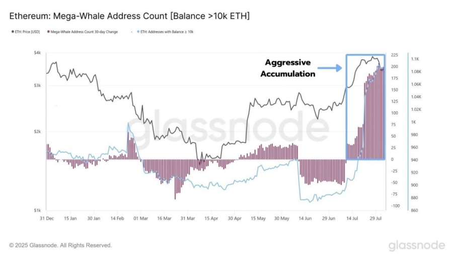 هجوم مگا نهنگ‌ها به اتریوم