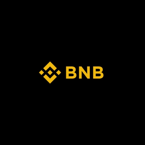 رکوردشکنی BNB با عبور از ۸۲۷ دلار