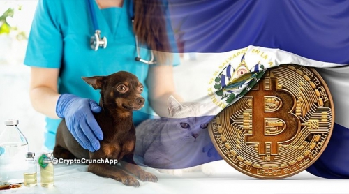 السالوادور از سود بیت کوین برای ساخت بیمارستان حیوانات استفاده می کند.