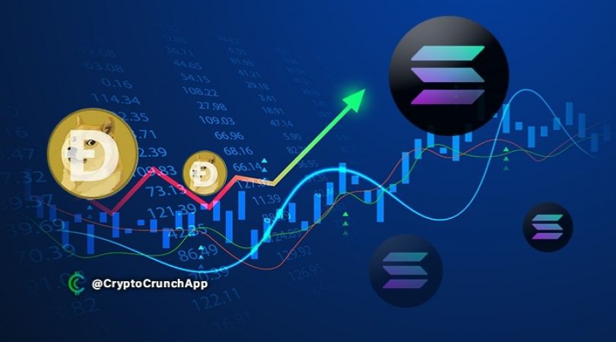 سولانا دوج کوین را پشت سر گذاشت!