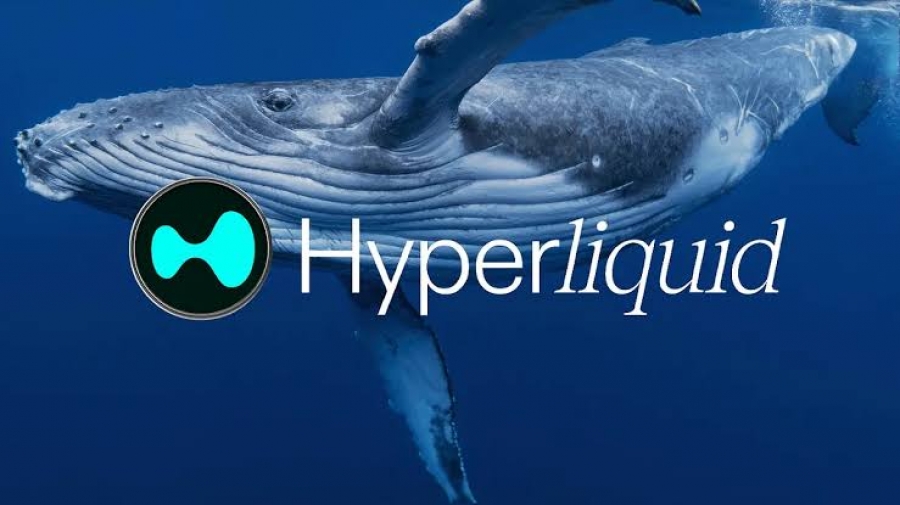 افزایش موقعیت فروش نهنگ مرتبط با ترامپ در بیتکوین