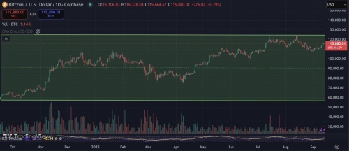 بینش: بازدهی بیت‌کوین در یک سال گذشته