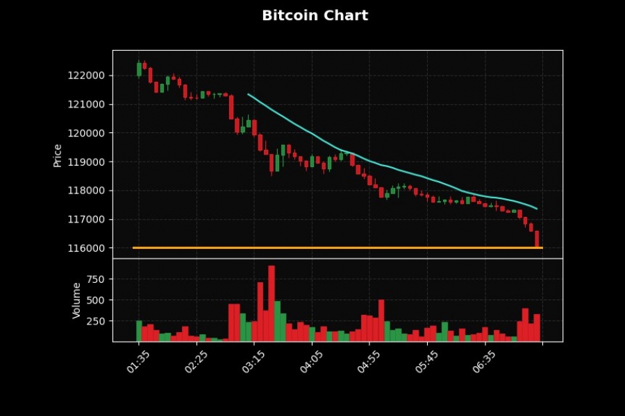 بیتکوین به ۱۱۶ هزار دلار رسید
