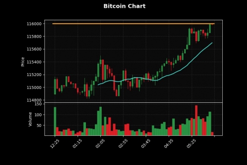 صعود بیت کوین به بالای 116 هزار دلار