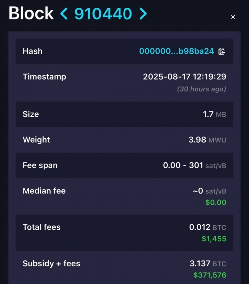 موفقیت یک ماینر انفرادی بیت‌کوین