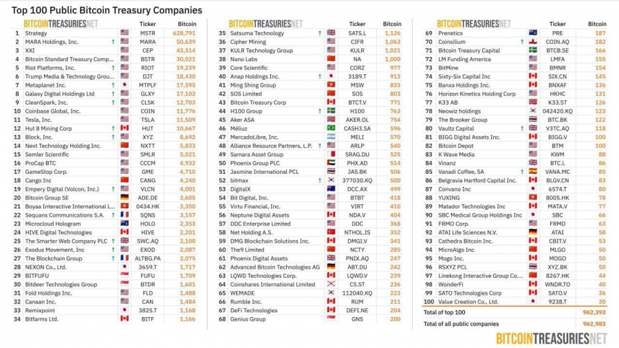 ۱۰۰ خزانه برتر بیت کوین نزدیک به یک میلیون BTC دارند