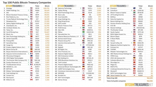 ۱۰۰ خزانه برتر بیت کوین نزدیک به یک میلیون BTC دارند