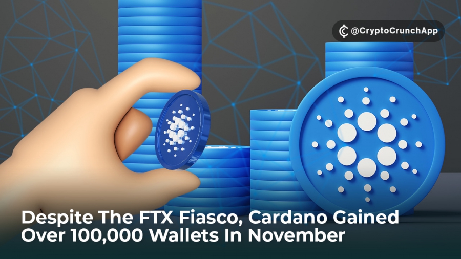 با وجود شکست صرافی FTX، کاردانو بیش از 100,000 کیف پول در ماه نوامبر به دست آورد. 