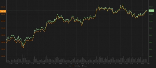 تغییرات قیمت و ارزش بازار بیت کوین در شش ماه اخیر