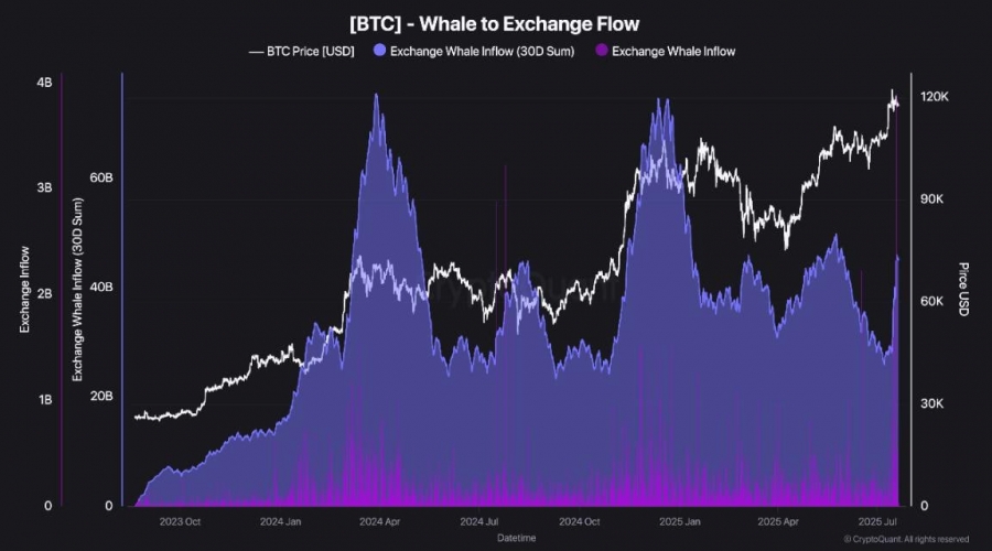 افزایش ۱۷ میلیارد دلاری ورود بیت‌کوین به صرافی‌ها توسط نهنگ‌ها