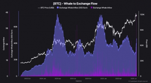افزایش ۱۷ میلیارد دلاری ورود بیت‌کوین به صرافی‌ها توسط نهنگ‌ها