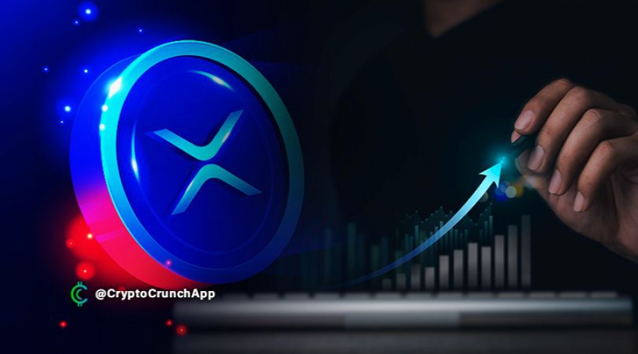 برای اولین بار در سه ماه گذشته، XRP بالاترین رشد شبکه را ثبت کرد!