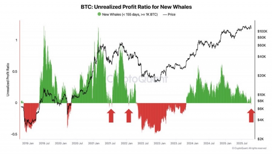 زیان تحققنیافته نهنگهای جدید بیتکوین منفی شد؛ هشدار نوسانات شدید در راه است!