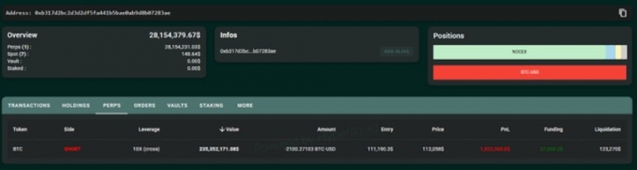 نهنگ داخلی بیتکوین موقعیت فروش ۲۳۵ میلیون دلاری باز کرد