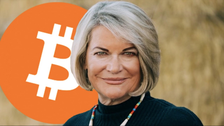 سناتور لومیس: بیت کوین سپری در برابر تورم